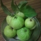 Guavas
 