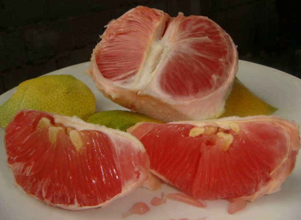 sweet suha (buongon) assessment on Allripe